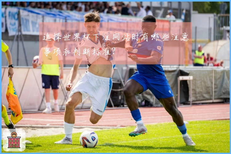 NG体育体育资讯图片