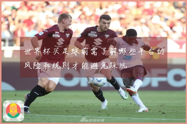 世界杯买足球前需了解哪些平台的风险和规则才能避免踩坑