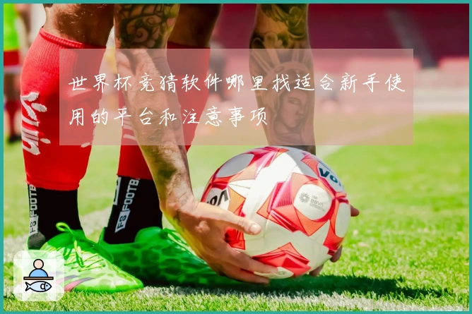 世界杯竞猜软件哪里找适合新手使用的平台和注意事项
