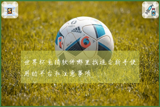 世界杯竞猜软件哪里找适合新手使用的平台和注意事项