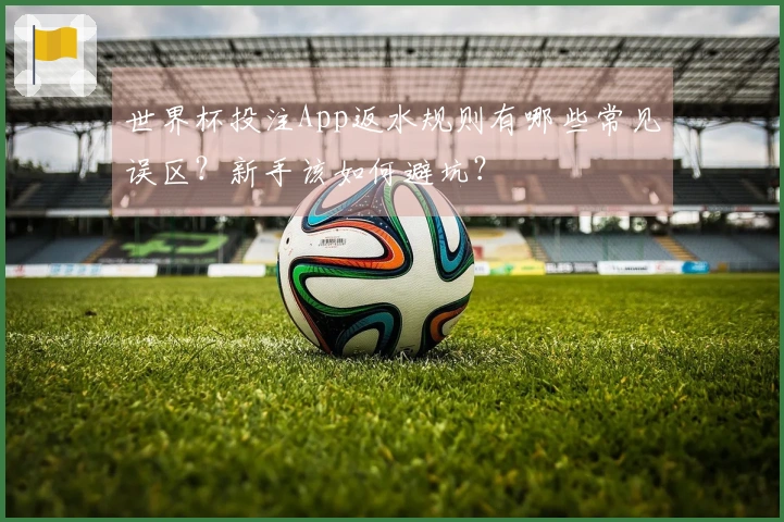 世界杯投注App返水规则有哪些常见误区？新手该如何避坑？