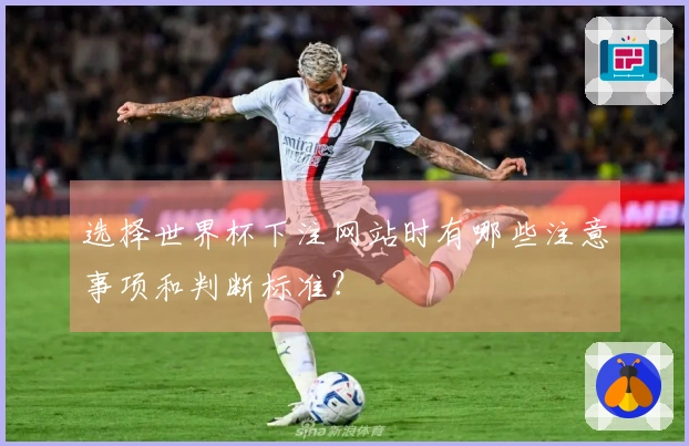 选择世界杯下注网站时有哪些注意事项和判断标准？