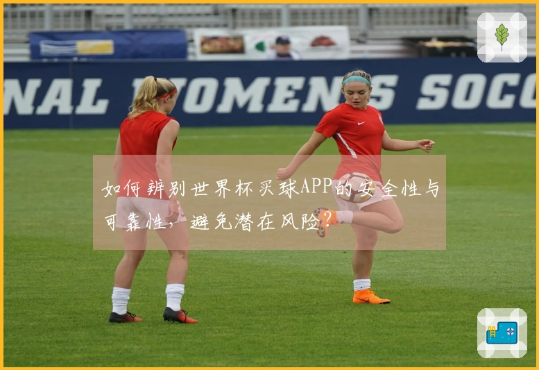 如何辨别世界杯买球APP的安全性与可靠性，避免潜在风险？