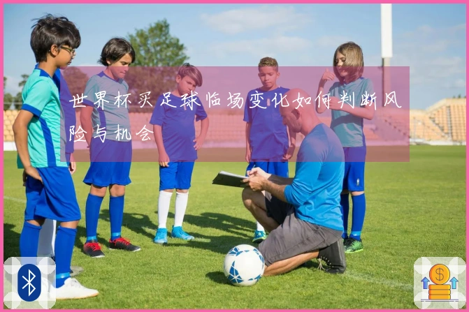 世界杯买足球临场变化如何判断风险与机会