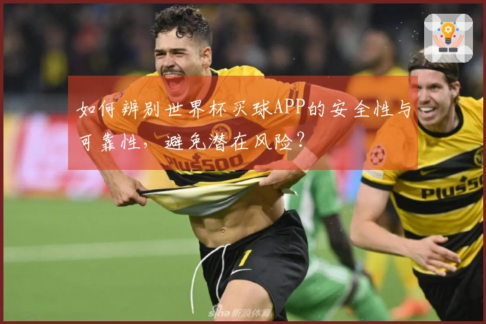 如何辨别世界杯买球APP的安全性与可靠性，避免潜在风险？